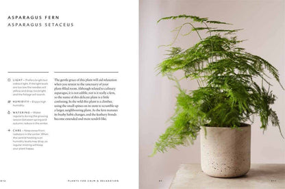 The Healing Power of Plants