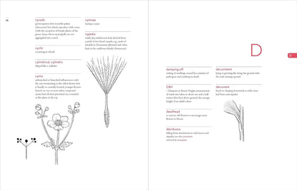 A Botanist's Vocabulary