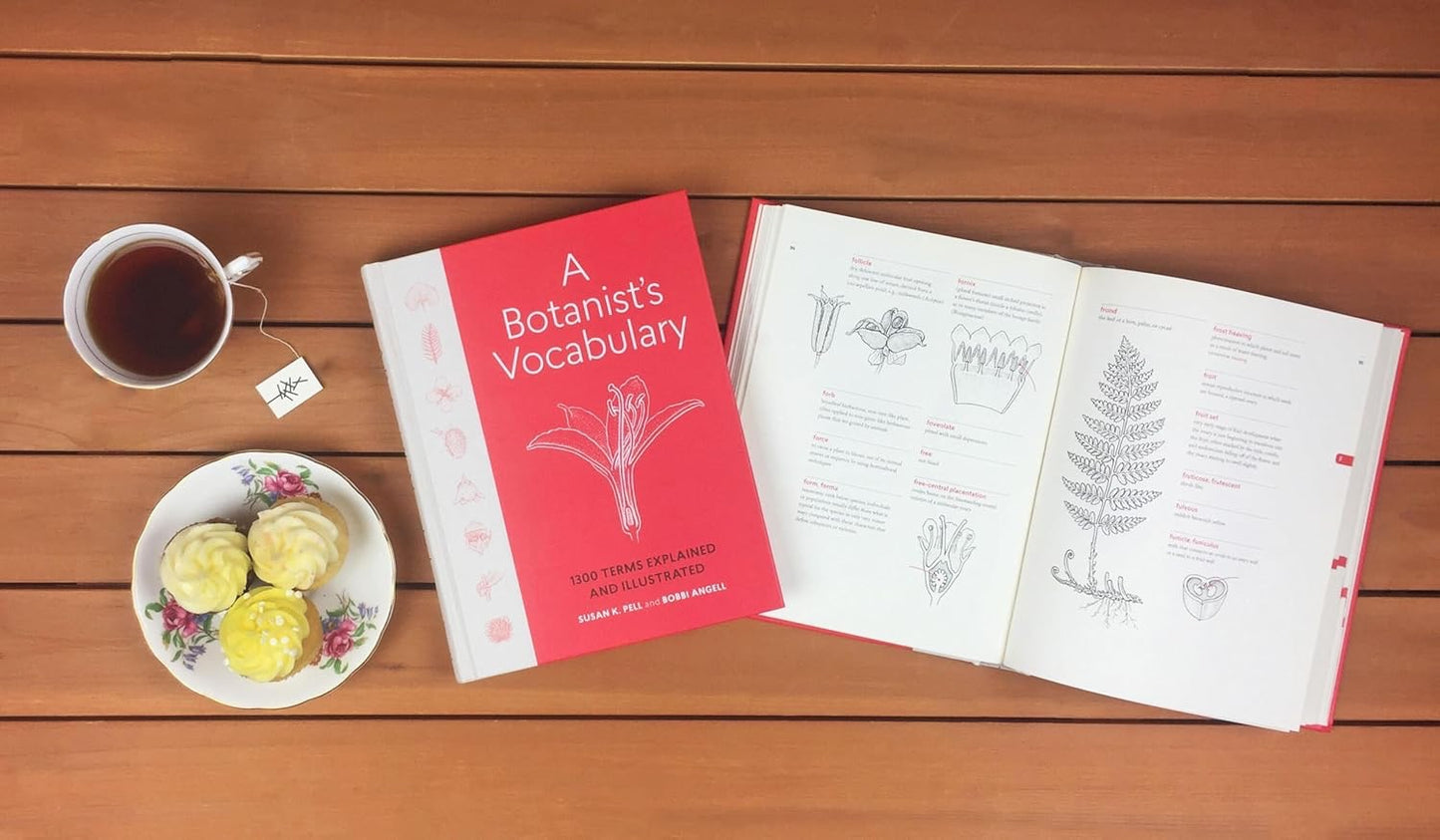 A Botanist's Vocabulary