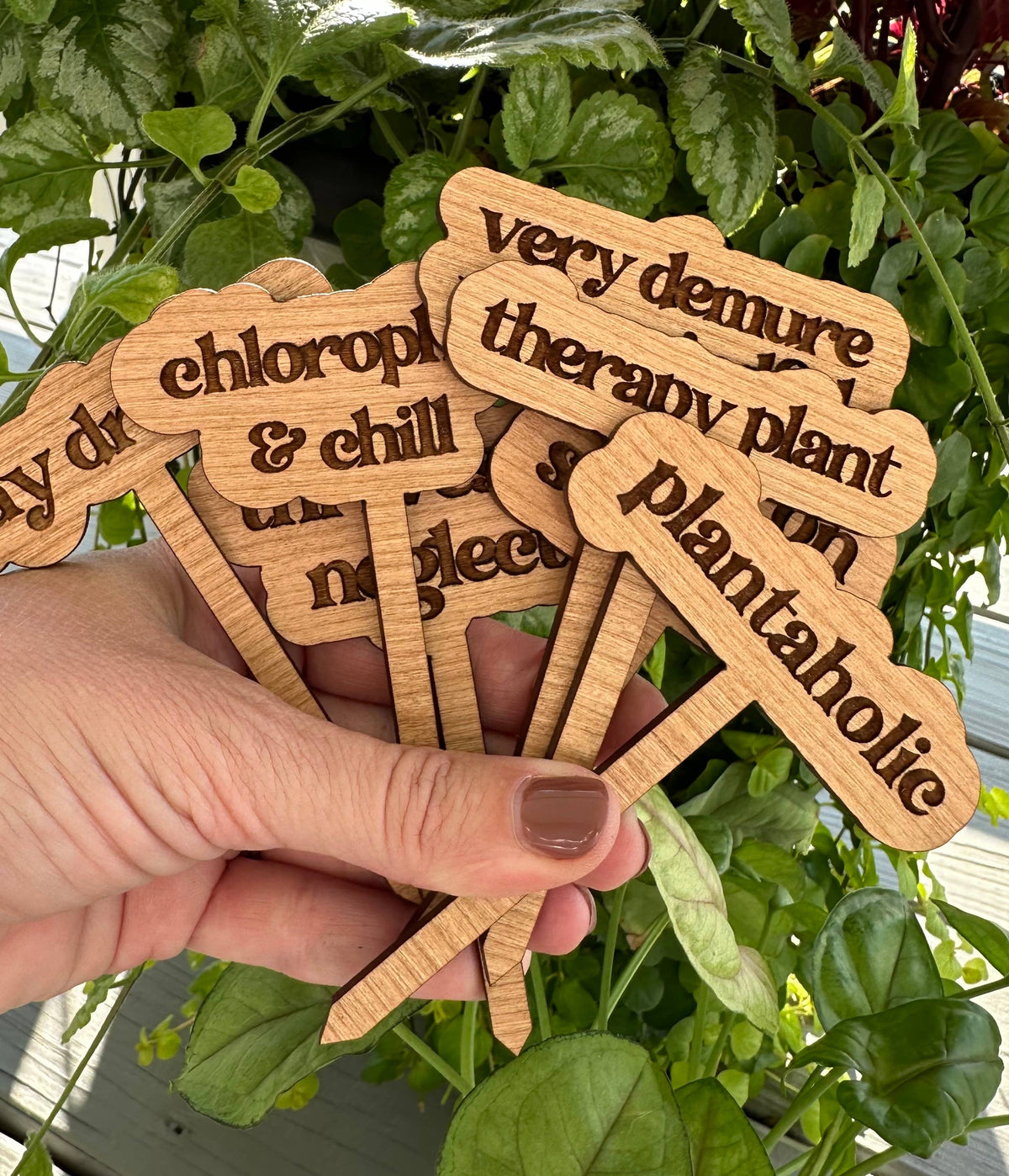 Plantaholic: Funny Plant Stakes