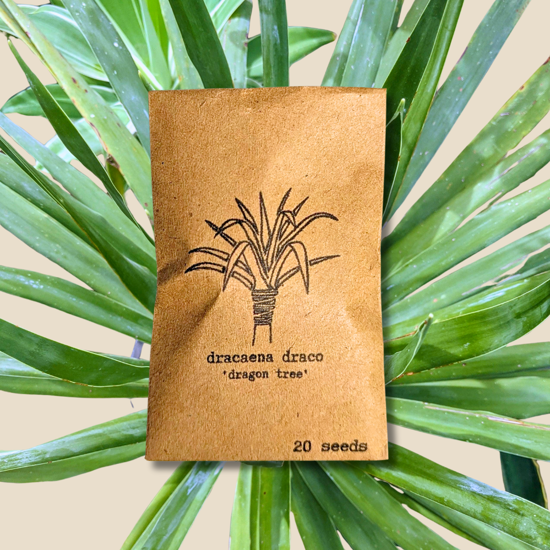Houseplant & Tropical Plant Seeds