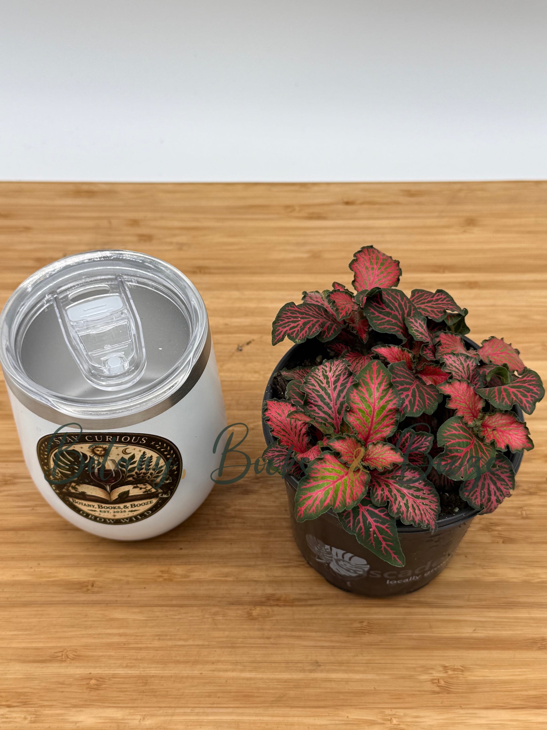 Selected Variant Image