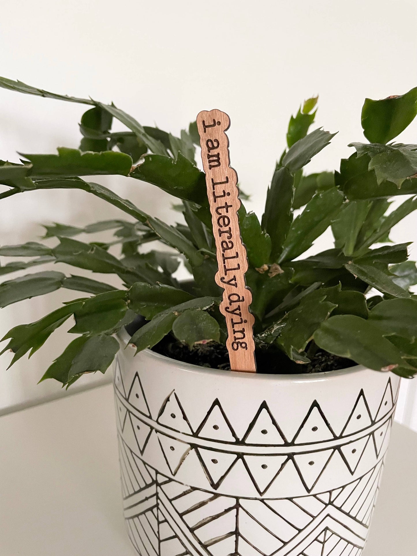 Punny Plant Stakes / Funny Plant Markers