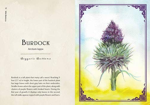 Wild Medicine: The Magick of Herbs. Illustrated Hardcover