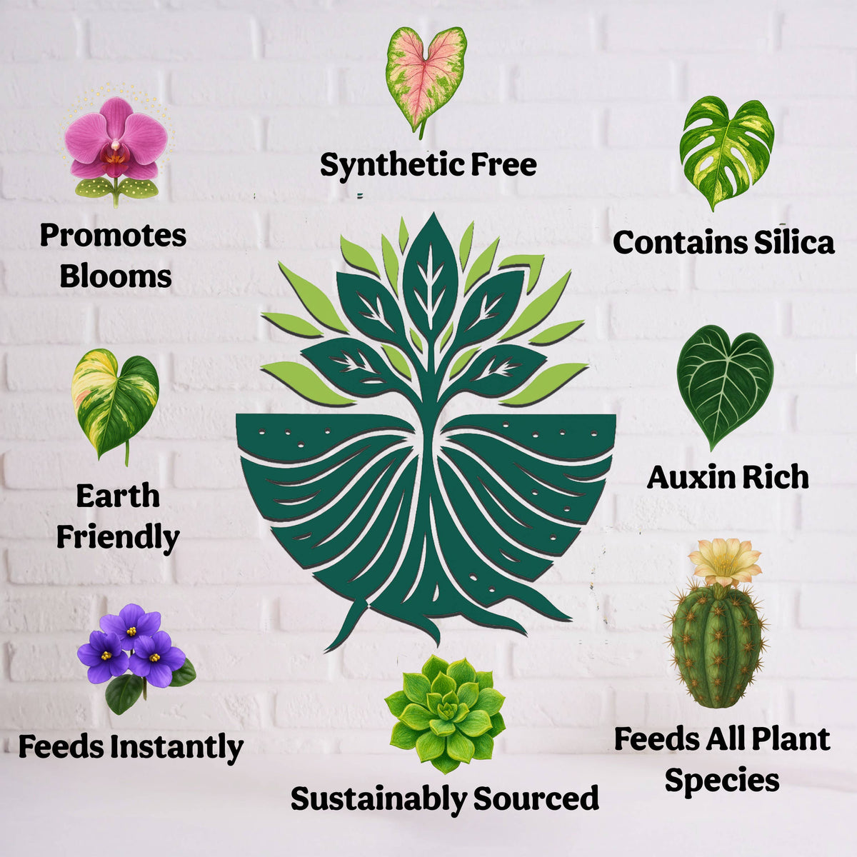 Liquid 5-5-5 Plant Food