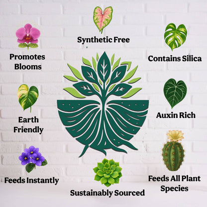 Liquid 5-5-5 Plant Food