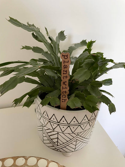 Witchy Vibes Plant Signs