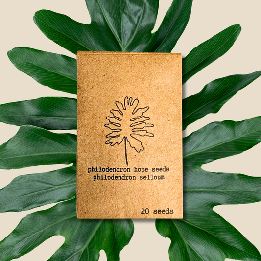 Houseplant & Tropical Plant Seeds